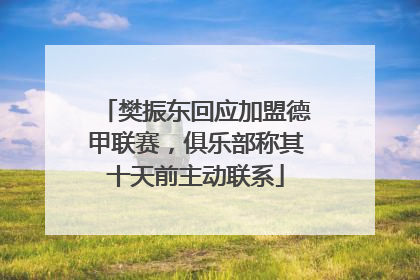 樊振东回应加盟德甲联赛，俱乐部称其十天前主动联系